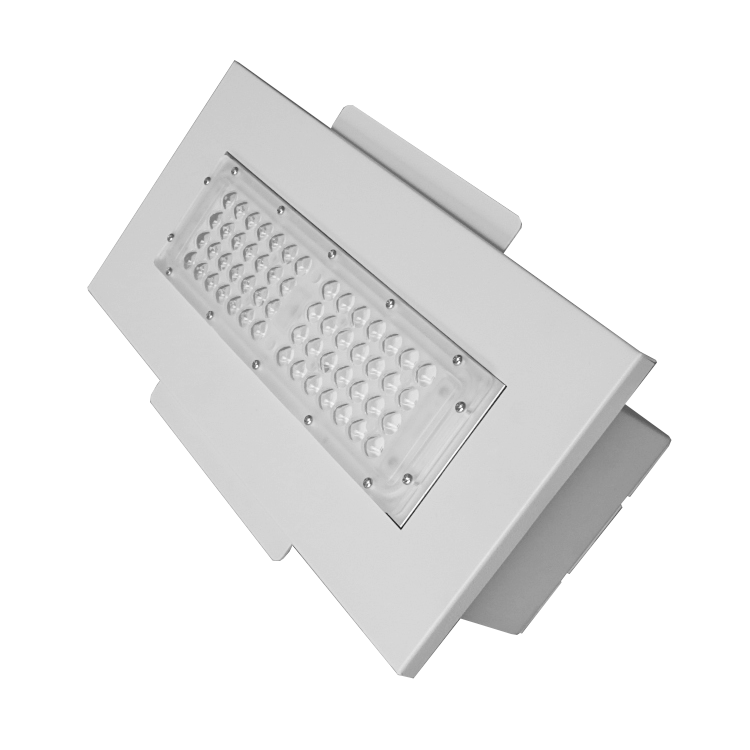 LED Canopy Light